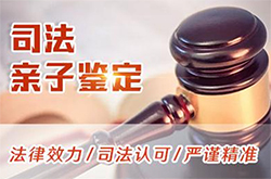 保山司法亲子鉴定哪里能办理